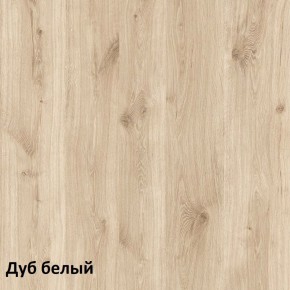 Эйп Шкаф для одежды 13.334 в Агрызе - agryz.mebel-74.com | фото