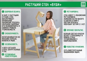 Комплект растущий стол и стул с чехлом 38 попугаев «Вуди» (Серый, Береза, Салют) в Агрызе - agryz.mebel-74.com | фото