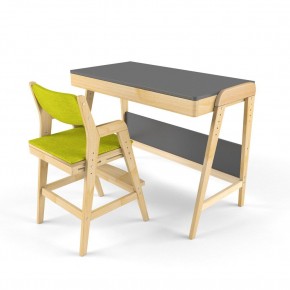 Комплект растущий стол и стул с чехлом 38 попугаев «Вуди» (Серый, Без покрытия, Грин) в Агрызе - agryz.mebel-74.com | фото