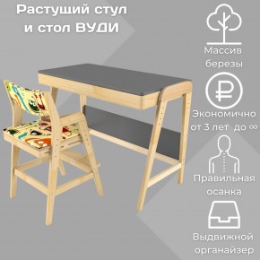 Комплект растущий стол и стул с чехлом 38 попугаев «Вуди» (Серый, Без покрытия, Монстры) в Агрызе - agryz.mebel-74.com | фото