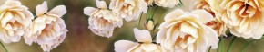Кухонный фартук Цветы 066 МДФ матовый (3000) Flowers в Агрызе - agryz.mebel-74.com | фото