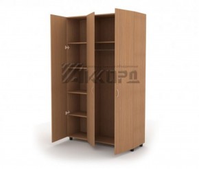 Шкаф комбинированный для одежды ШГ 84.3 (1200*620*1800) в Агрызе - agryz.mebel-74.com | фото