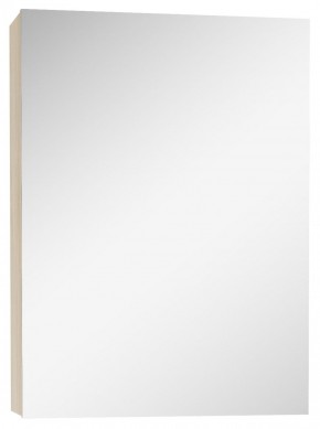 Шкаф-зеркало Мечта 40 Дуб сонома АЙСБЕРГ (DM2317HZ) в Агрызе - agryz.mebel-74.com | фото