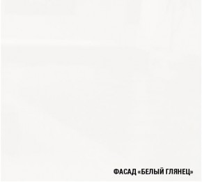 ТЕРЦИЯ Кухонный гарнитур Экстра 5 (3000 мм) в Агрызе - agryz.mebel-74.com | фото