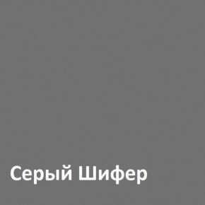 Юнона Шкаф торцевой 13.221 в Агрызе - agryz.mebel-74.com | фото